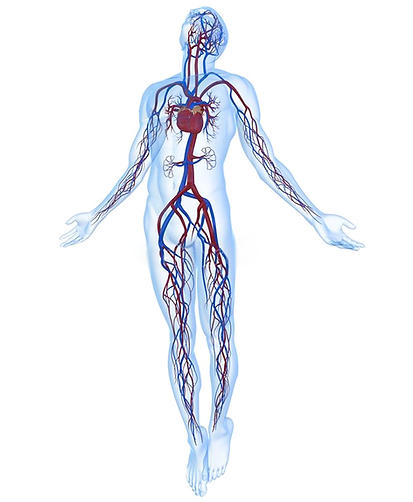 Takayasus arteritis