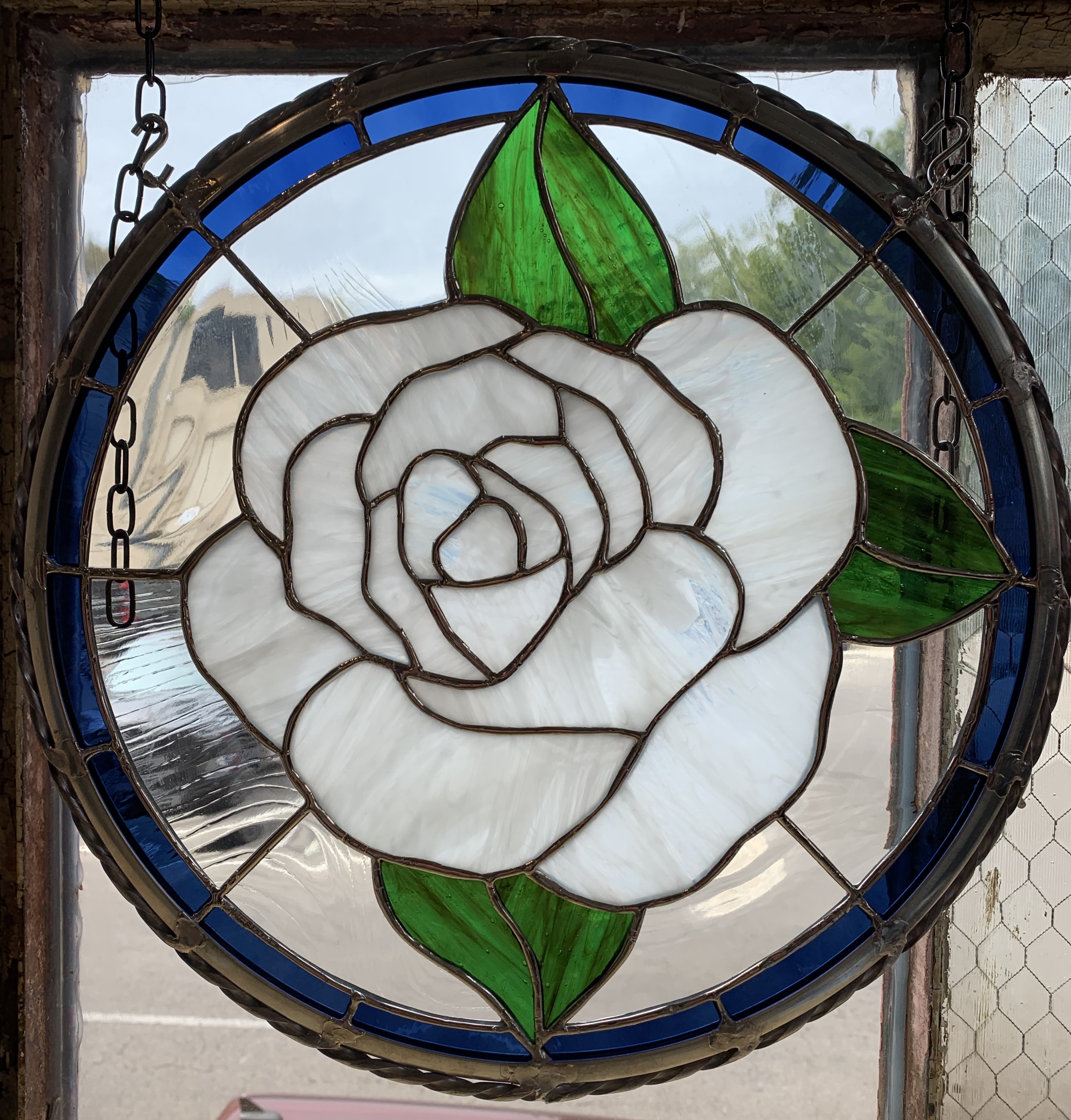 Wild Irish Rose