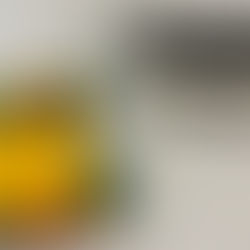 Vom digitalen Zwilling zum smarten IoT-Fahrzeug: Die Zukunft der technischen Ausbildung mit „Design & Make“