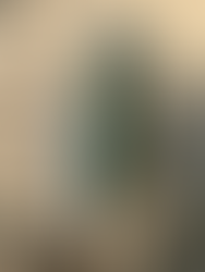 Cost-Efficiency in Civil Engineering: BOB & BUDDEL