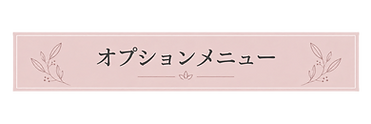 スロータス オプションメニュー