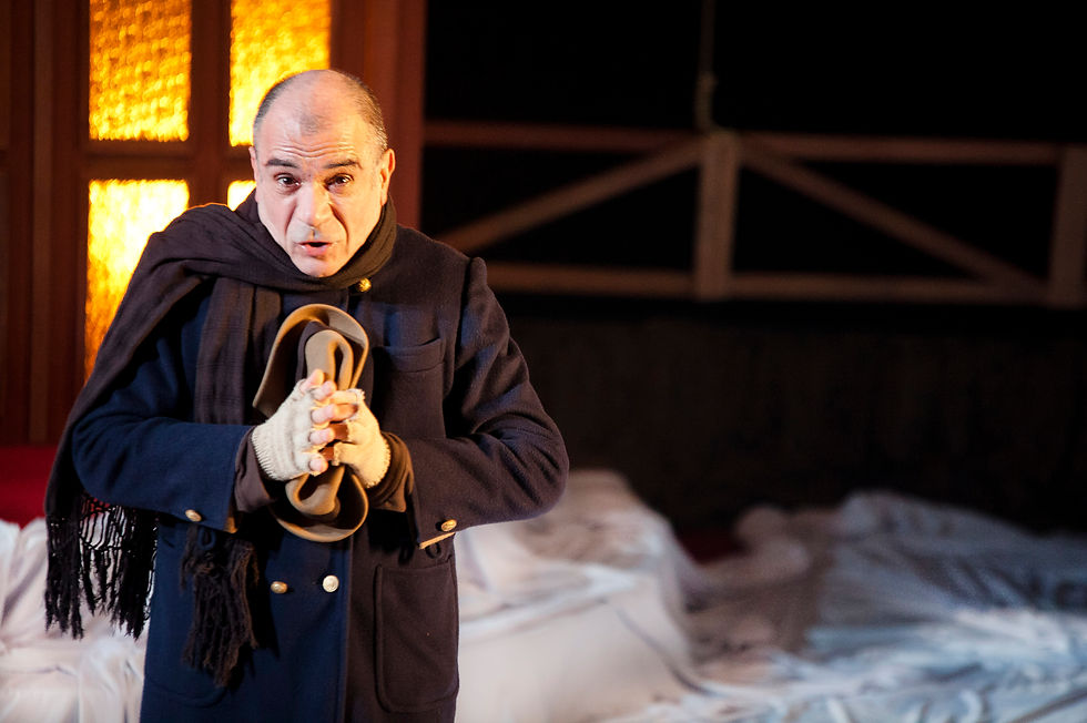 A ARTE DA COMÉDIA (2013)