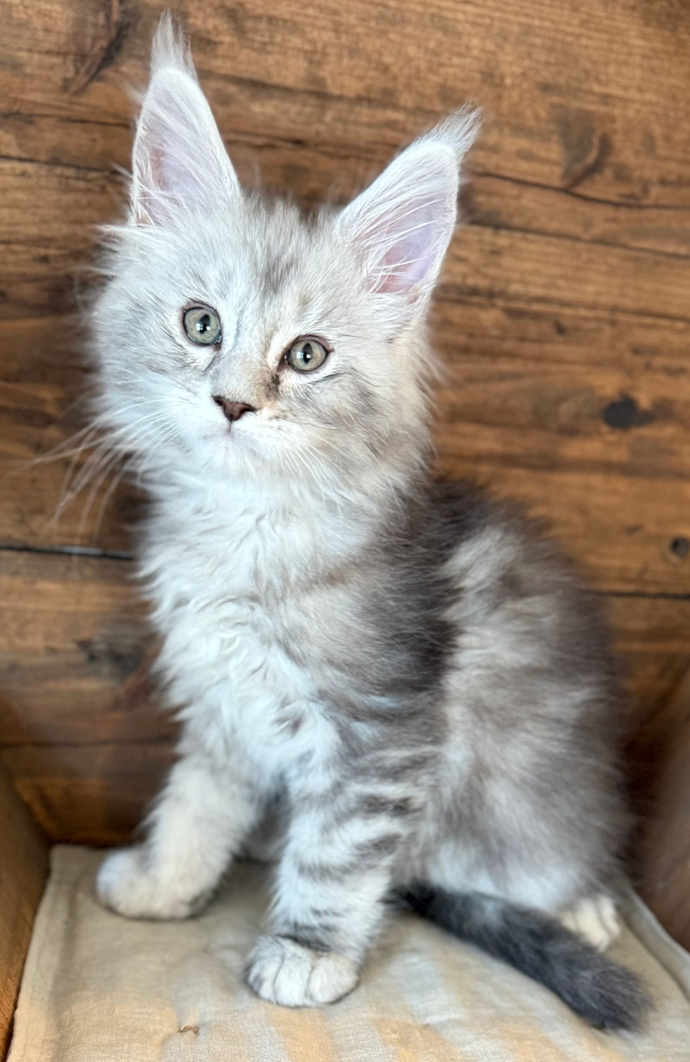 Bond- 8 weeks