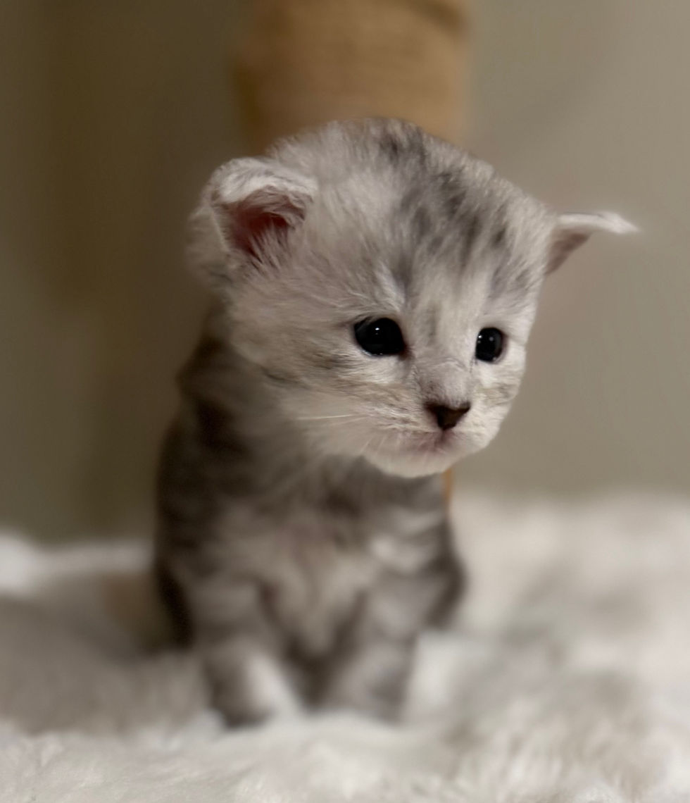 Elise - 3 Weeks
