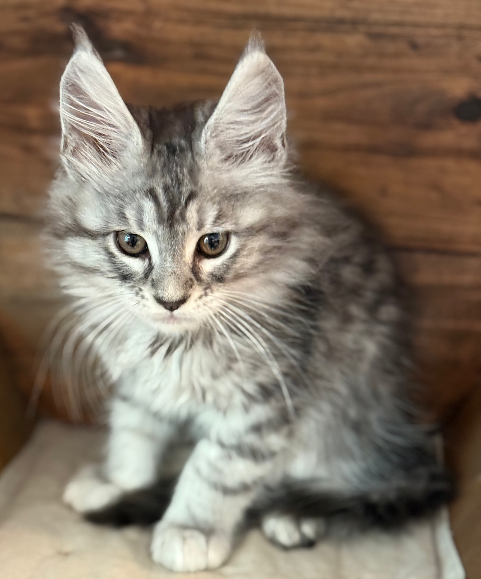 Danny - 10 weeks