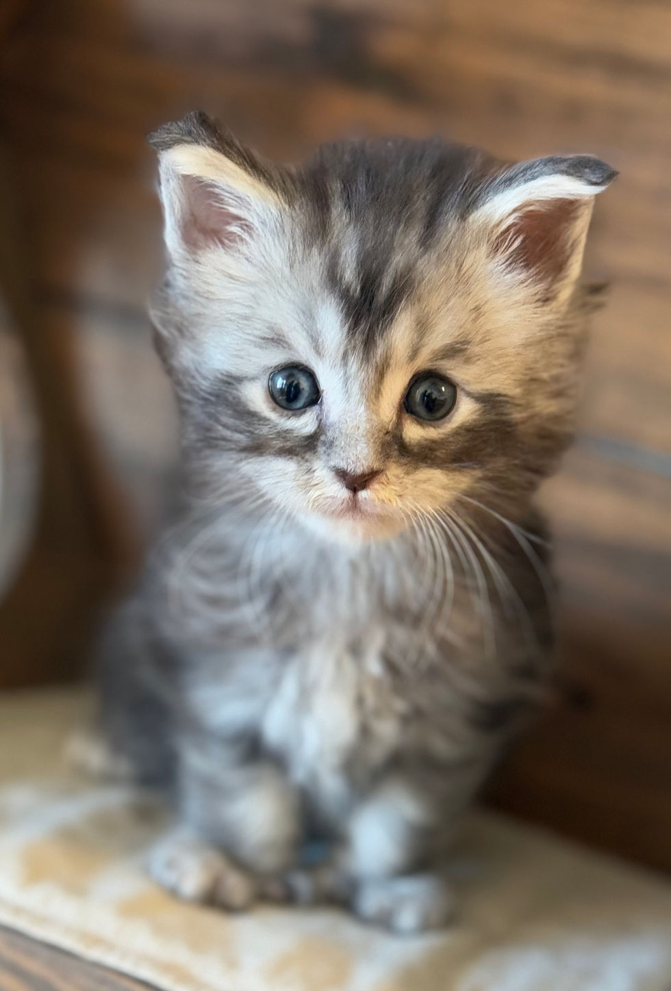 Boulder- 5 weeks