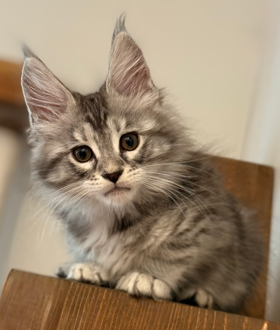 Danny - 10 weeks