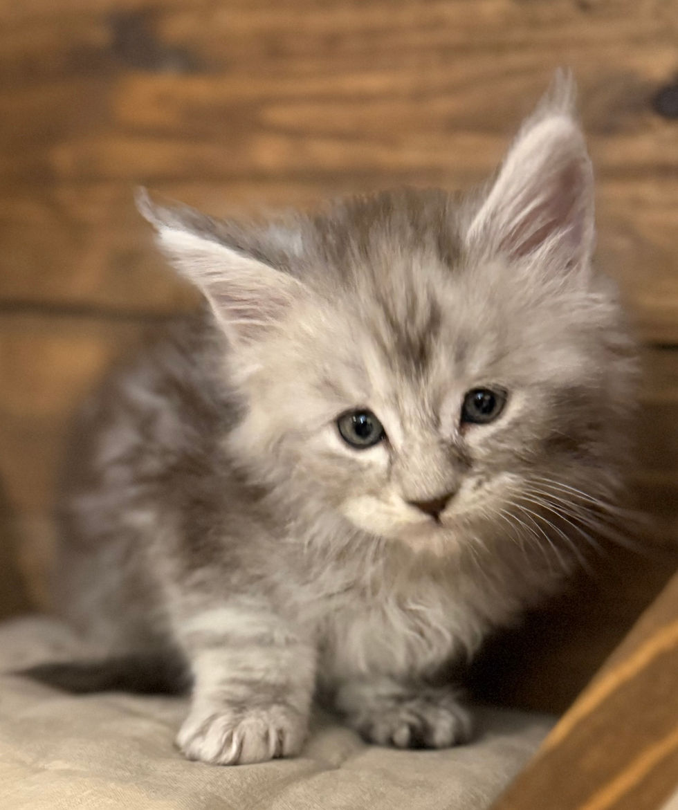 Bond- 6 weeks