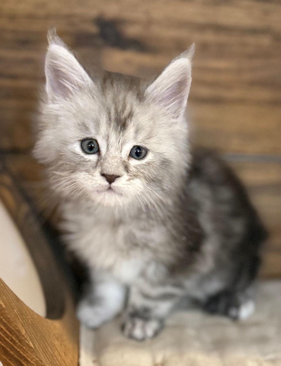 Bond- 6 weeks