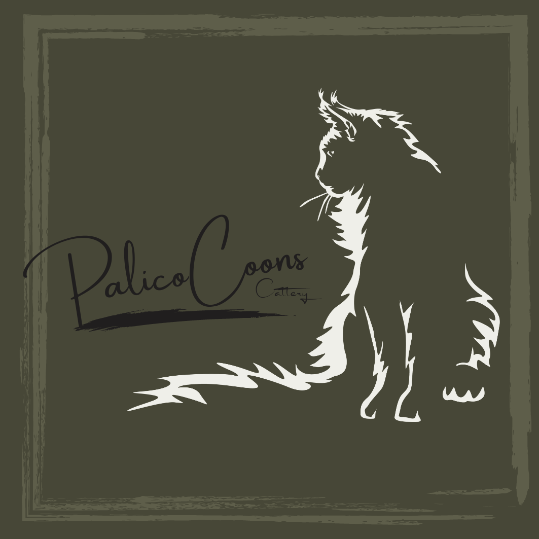 PalicoCoons Cattery logo