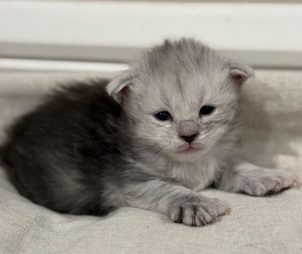Brinley- 3 weeks
