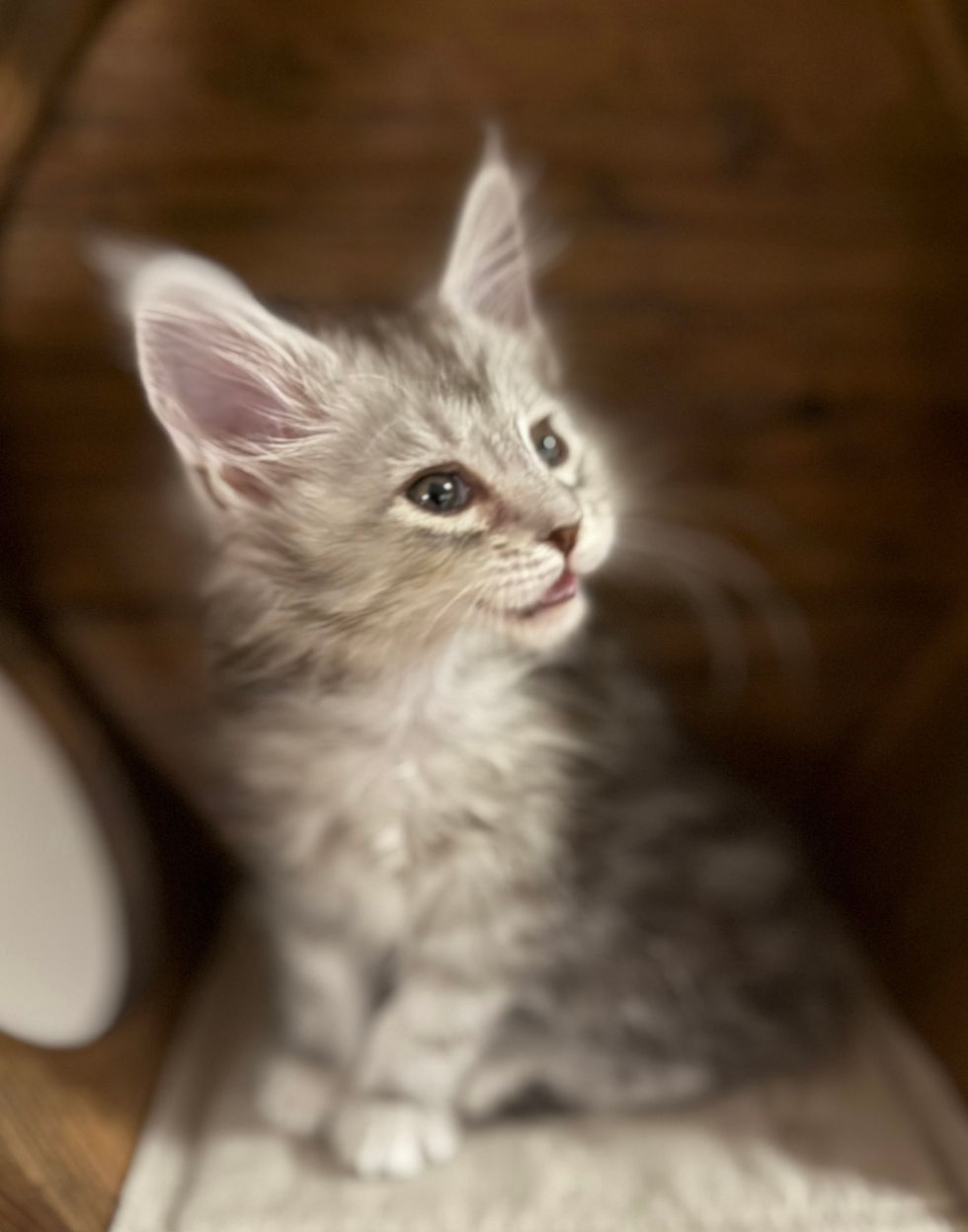 Axel- 9 weeks