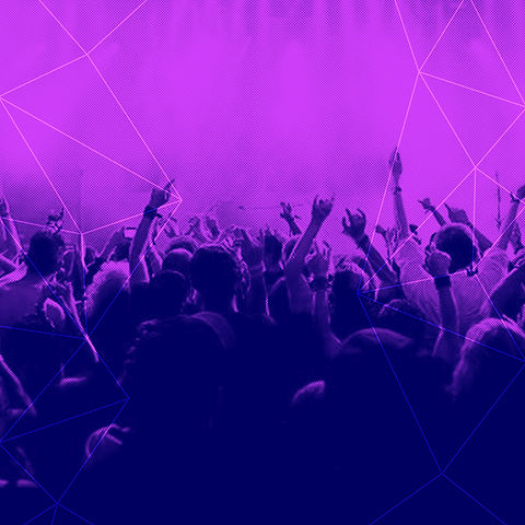 Purple Crowd