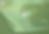 Through Rahal’s Lens (6).png