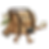 Destify Thumbnail.png