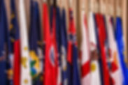 State Flags_Homepage.jpg