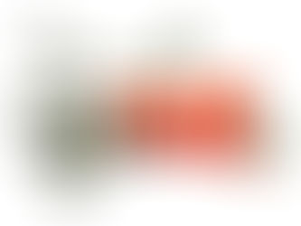 OPTの税金とその他税金関連について。