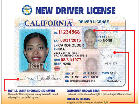 [免許] カリフォルニア州 運転免許証の取得の仕方と更新[完全版]
