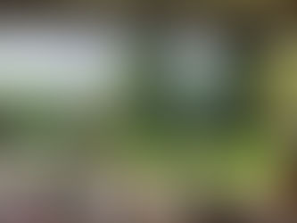テーマパークにて