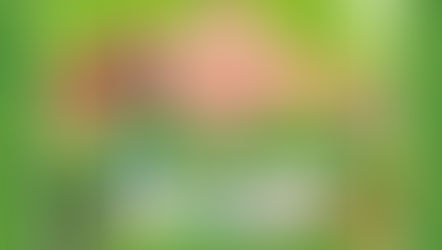 テーマパークにて