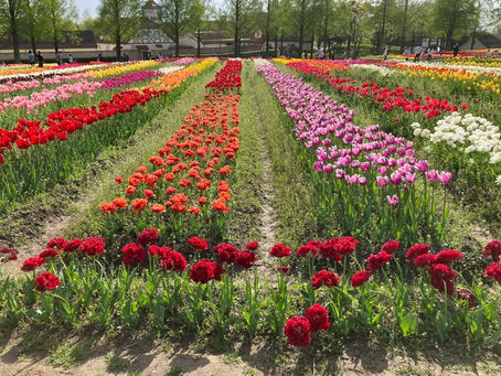 テーマパークにて