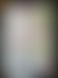 【ライブ】11/15(土)三鷹 風のホール 声楽コンサート(入場無料)