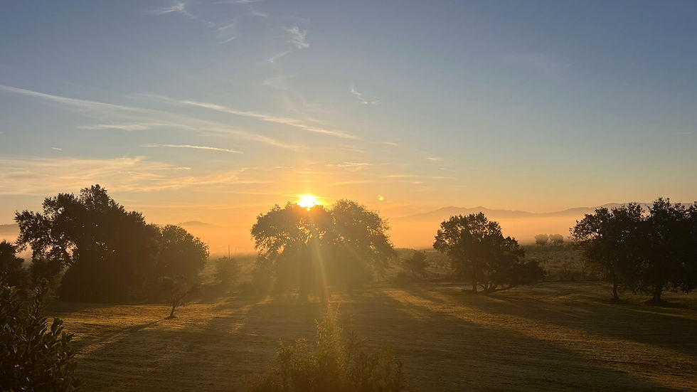 Sonnenaufgang Herbst Maremma Toskana