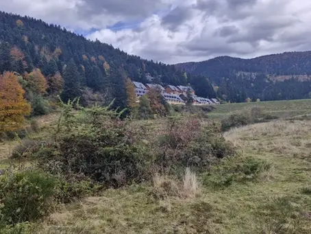 Hautes-Pyrénées : un cadavre retrouvé en décomposition près du lac de Payolle, l’enquête s’annonce complexe