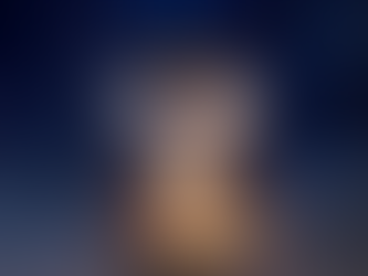 La peluche Loup d’Intermarché anticipée face à l’engouement du public 