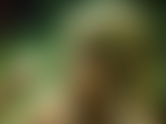 Mijanou Bardot brise le silence après la mort de Brigitte : “Je n’aimais pas être vue comme sa sœur”