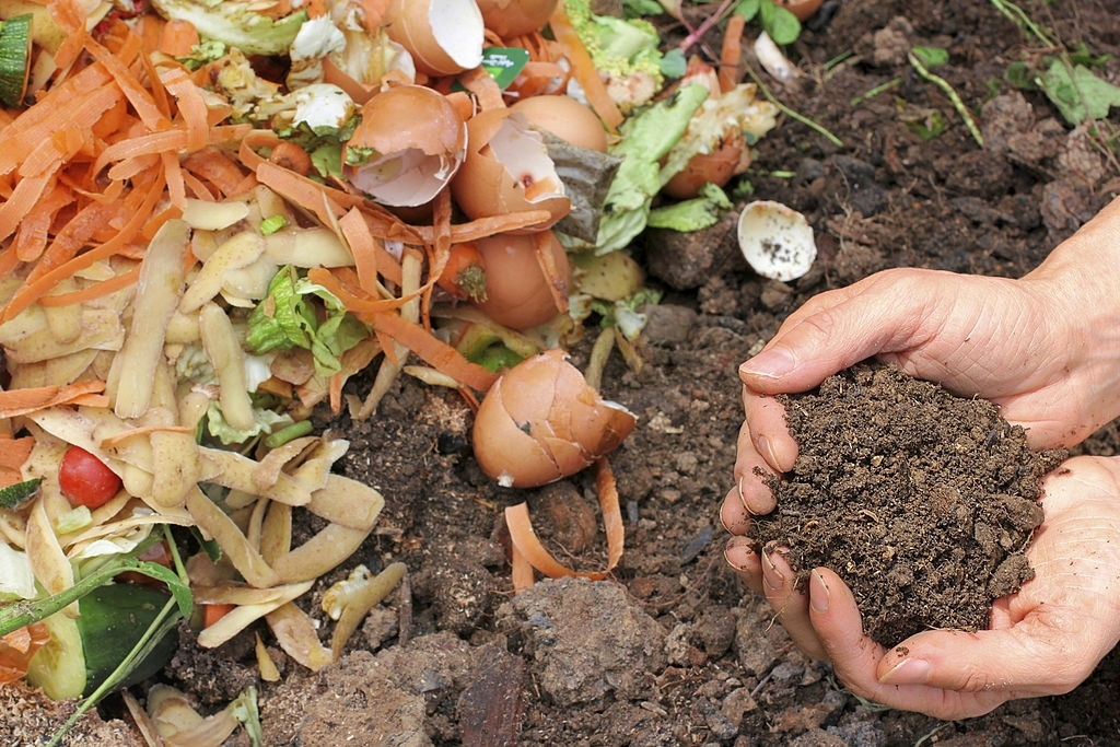 compost. Compostar para reducir la contaminacion. Hacks para cuidar el medio ambiente
