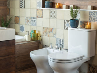 Encontrá el inodoro para tu baño