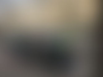 Art, Opera & Burning Wheelie Bins