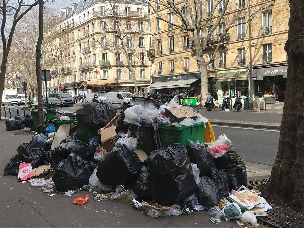 Art, Opera & Burning Wheelie Bins