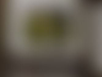 A Short-Lived Career in Journalism