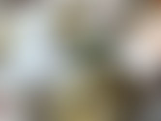 A Soirée at the Riviera