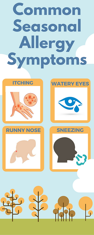 Common Seasonal Allergy Symptoms Infographic