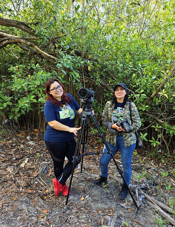 NOVIEMBRE CGAIA (1).jpg