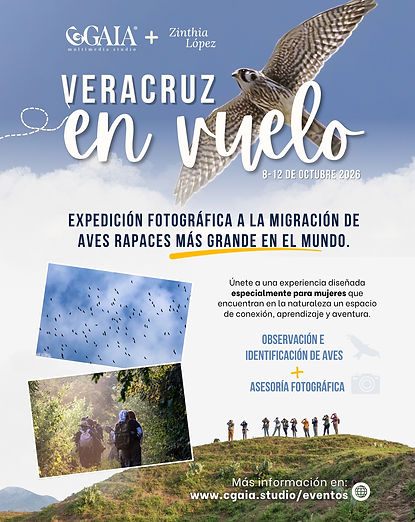 Copy of  TOUR RAPACES 2026.jpg