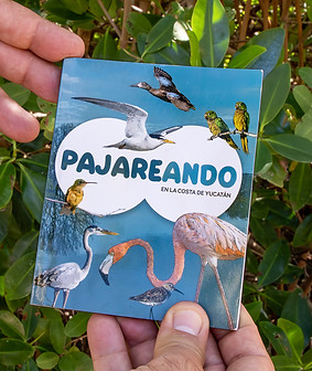 Guia de aves- cgaia para ppy.JPG