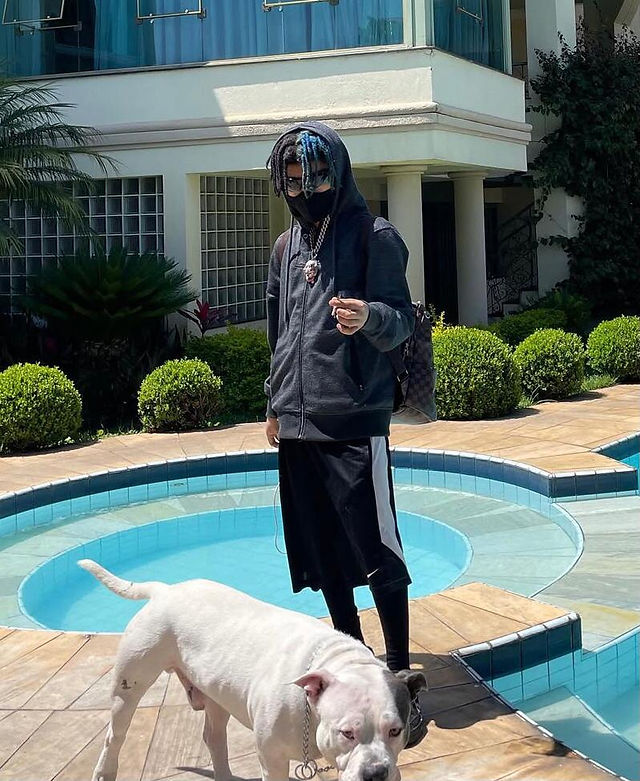 Levi Menezes em frente a mansão, ele veste roupas pretas e uma máscara. Ao seu lado tem um cachorro de raça pitbull.