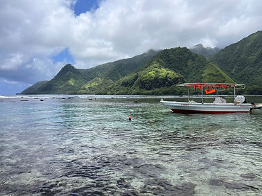 In'Spir Eco Retreat - sortie en mer avec notre partenaire
