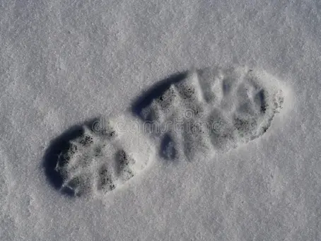 I'm Gonna Track That!