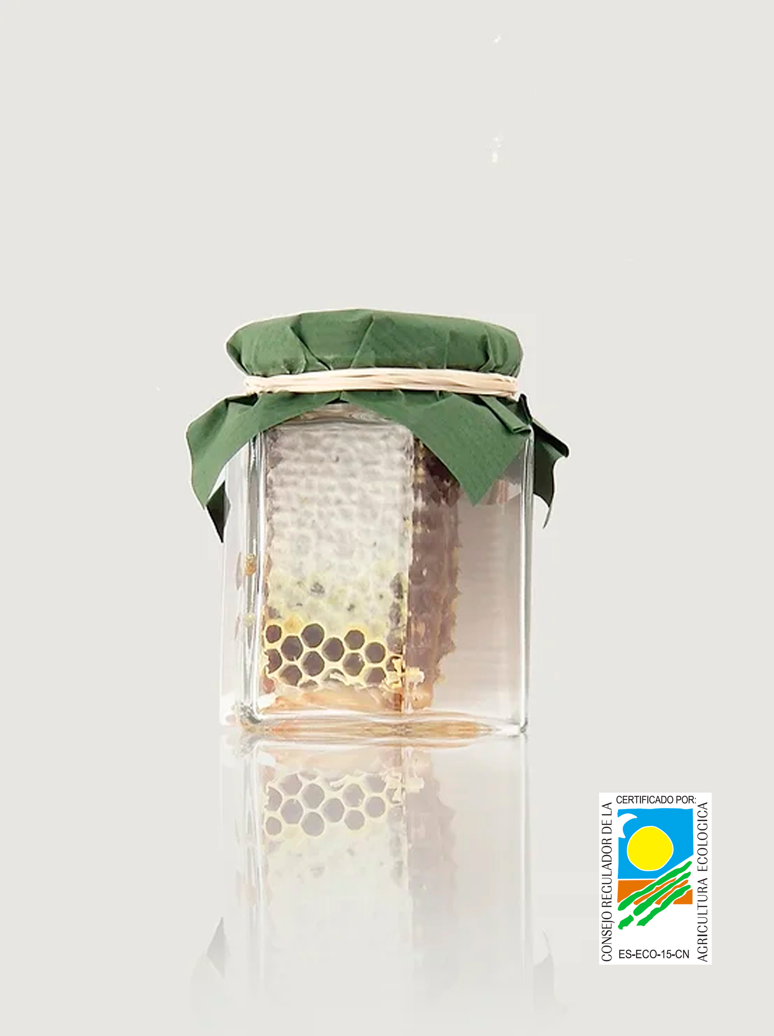 Miel en Panal 90 gr.