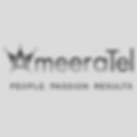 Ameeratel Logo (2).png