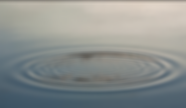 Screen Shot 2017-11-14 at 2.07.48 PM.png