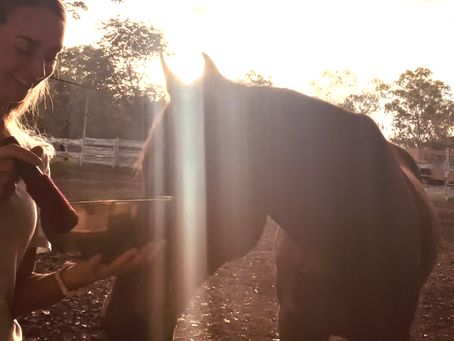 Viktoria doing a sound healing on a rescue horse at the Wild Horse Sanctuary Bonrook in the NT, Australia.