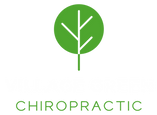 Color logo - no background.png