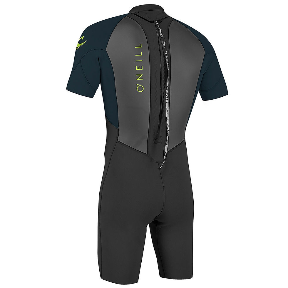 Thumbnail: O'Neill Youth Reactor 2mm Kids Back Zip Shorty Wetsuit slate rear view