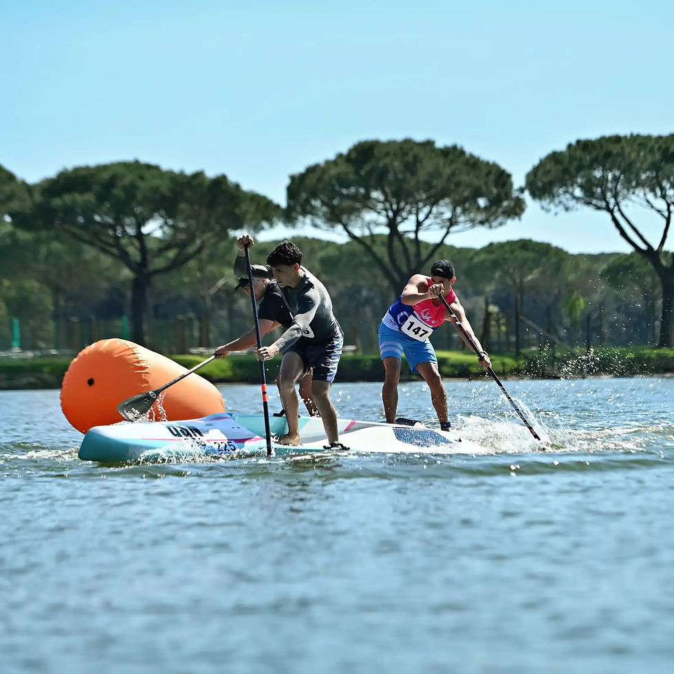 Thumbnail: NSP Carolina EVO 14' All Water Race SUP 2026